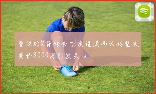 曼联对M费转会态度谨慎西汉姆坚决要价8000万引发关注