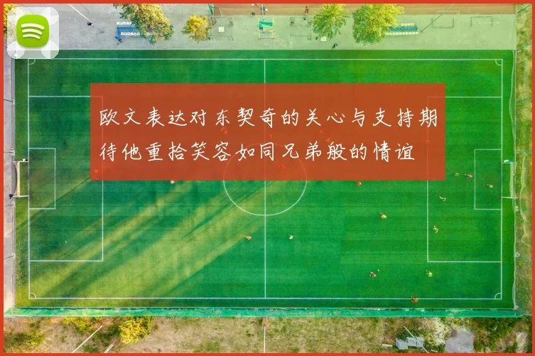 欧文表达对东契奇的关心与支持期待他重拾笑容如同兄弟般的情谊